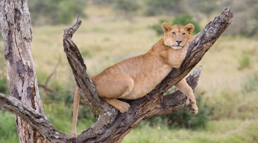 Ready to Explore Tarangire?